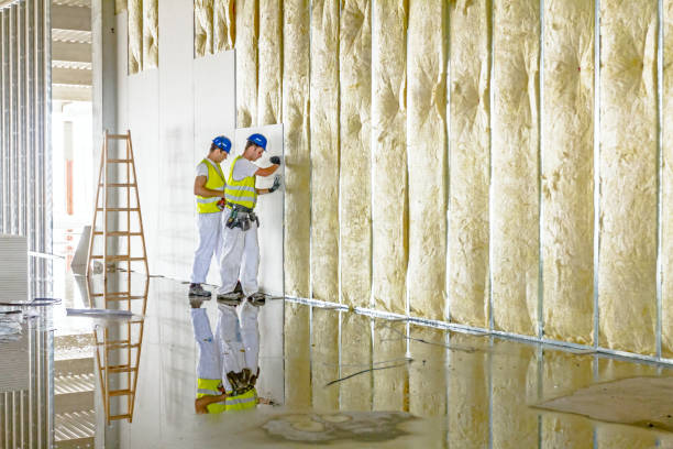 Best Commercial Insulation in Hales Corners, WI